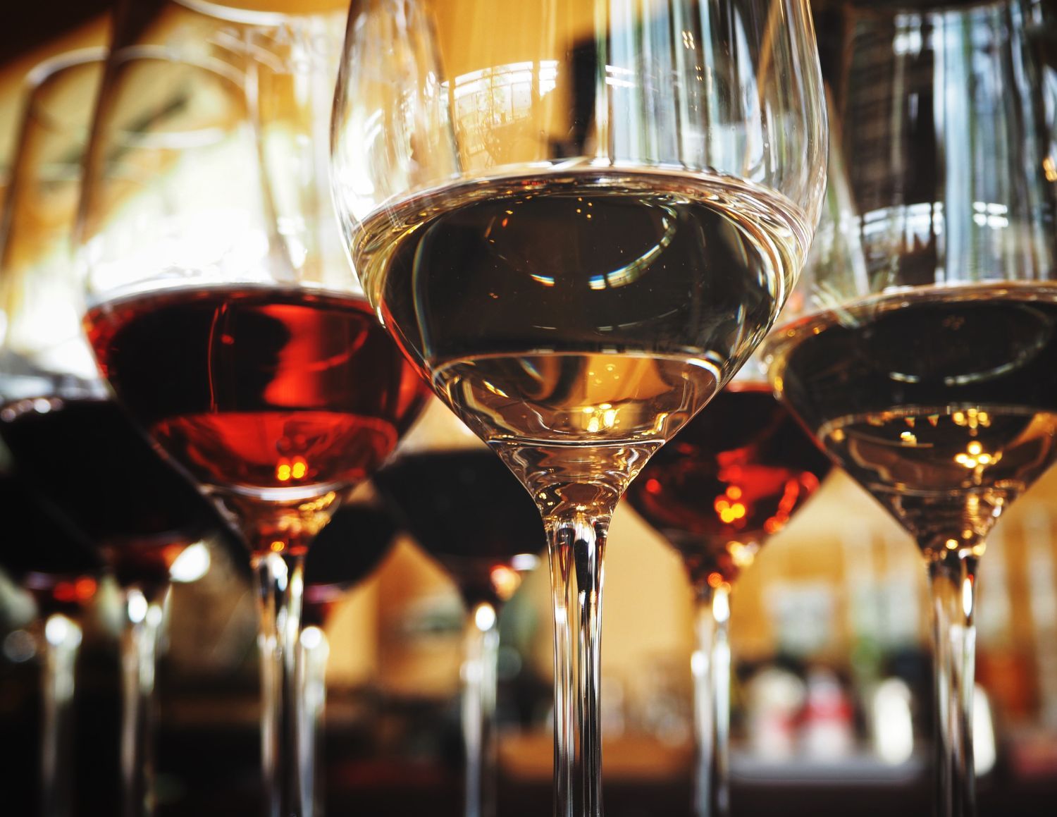 Le Salon des Vins de Maisons-Laffitte