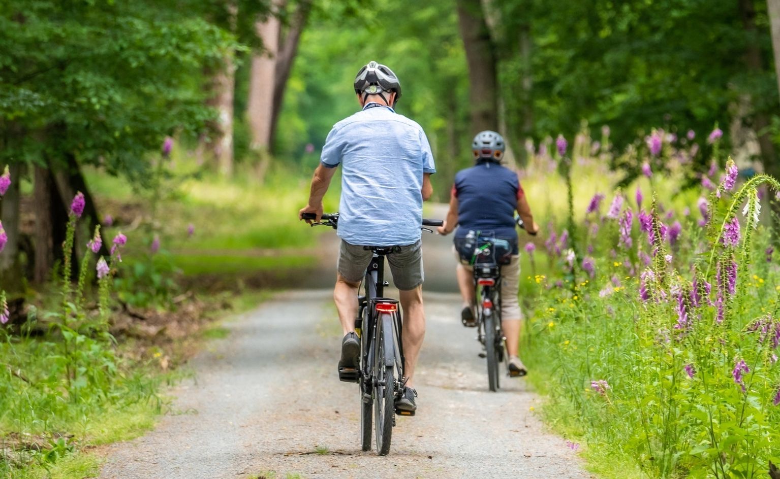 Balades à vélo et escapades nature au départ de Maisons-Laffitte