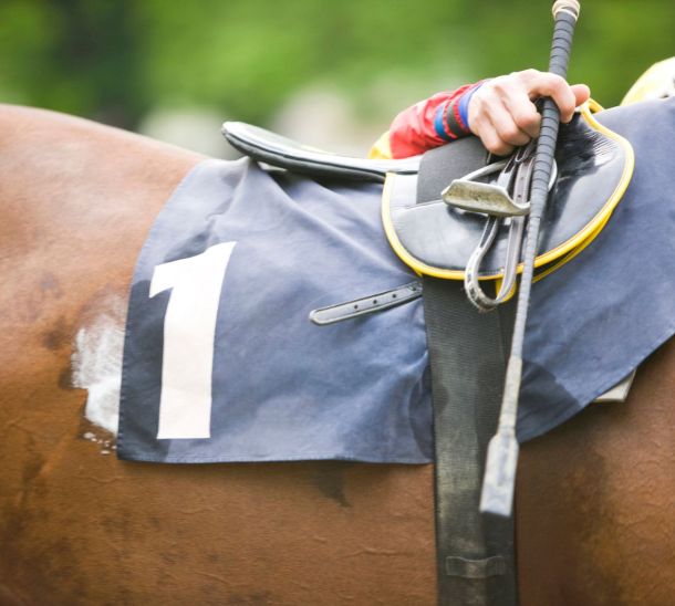 Au milieu coule la Seine - Maisons-Laffitte